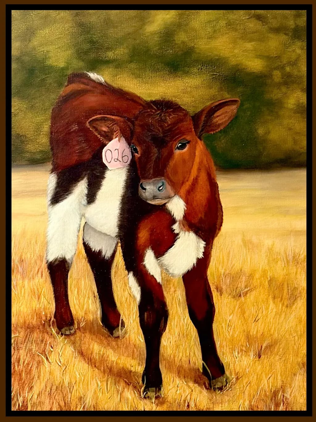Tagged Calf in Field