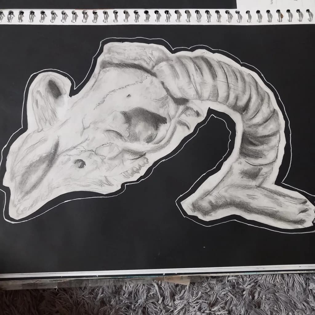 Ram Skull Outline