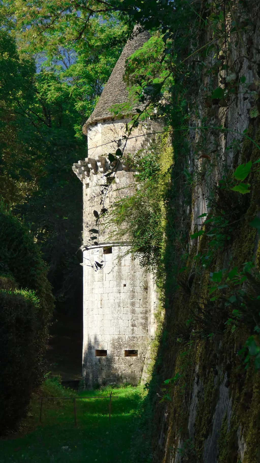 Ancient Tower Shadows