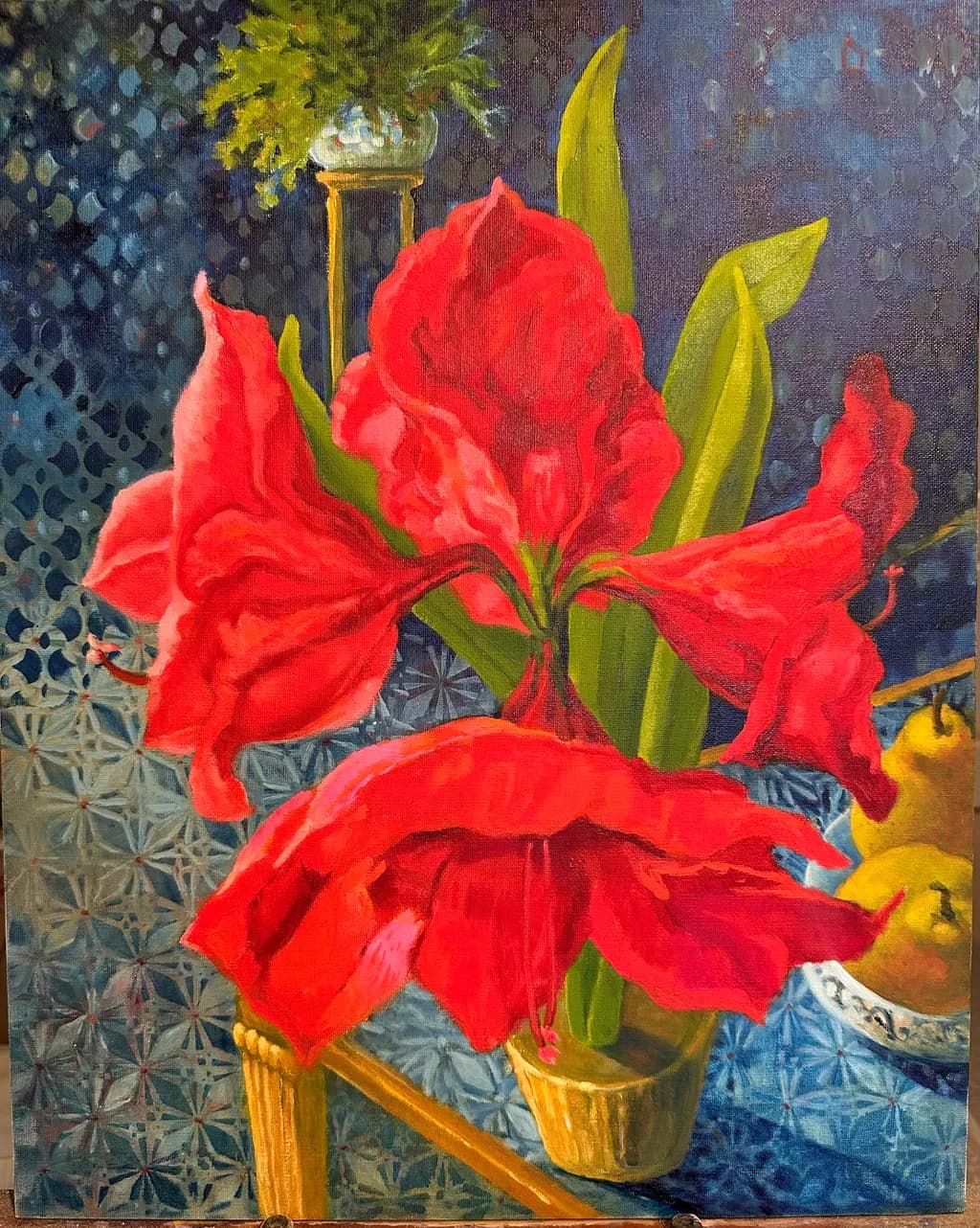 Red Amaryllis Bloom