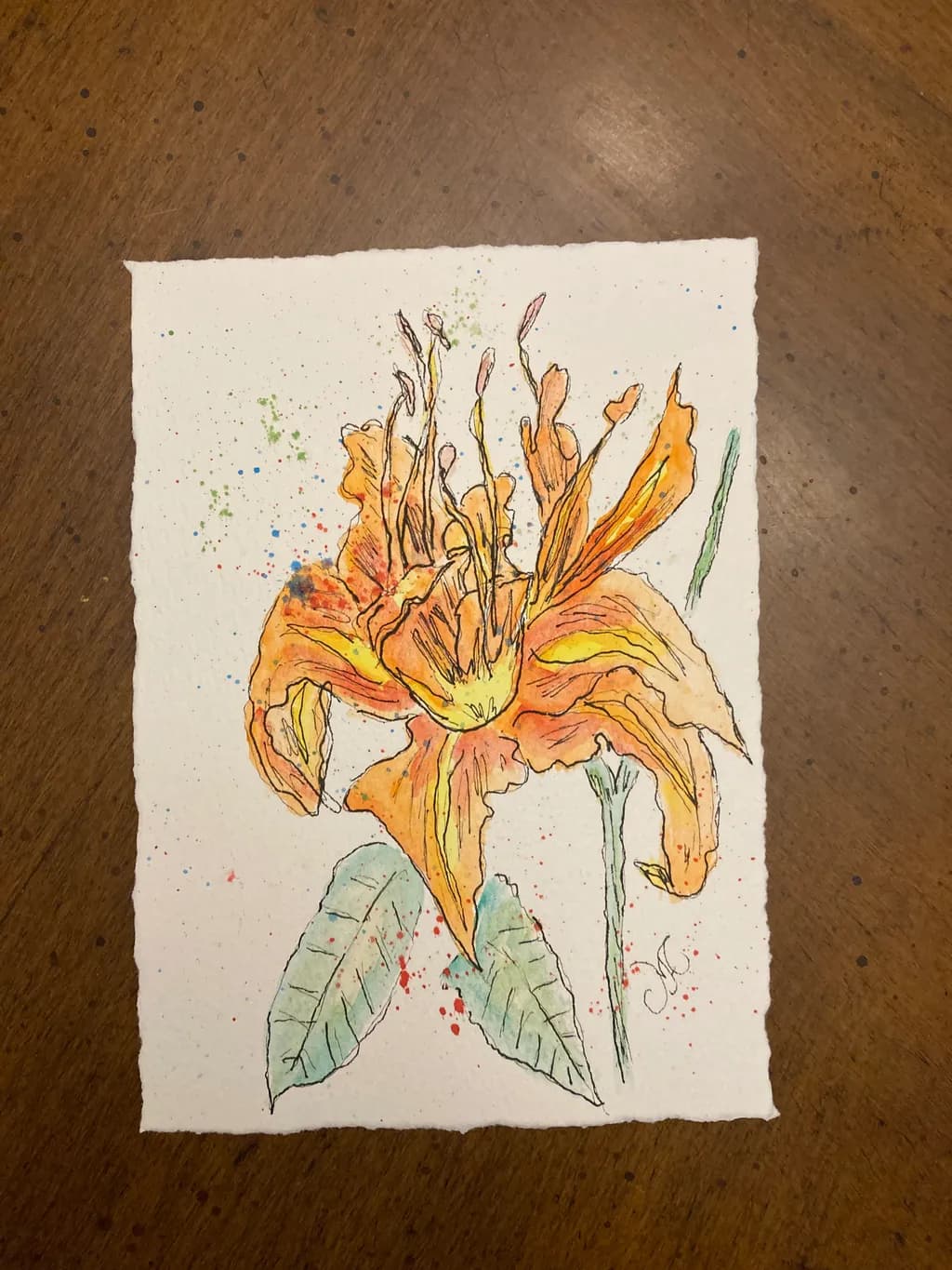 Tiger Lily Bloom