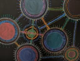 Chromatic Orbit Network