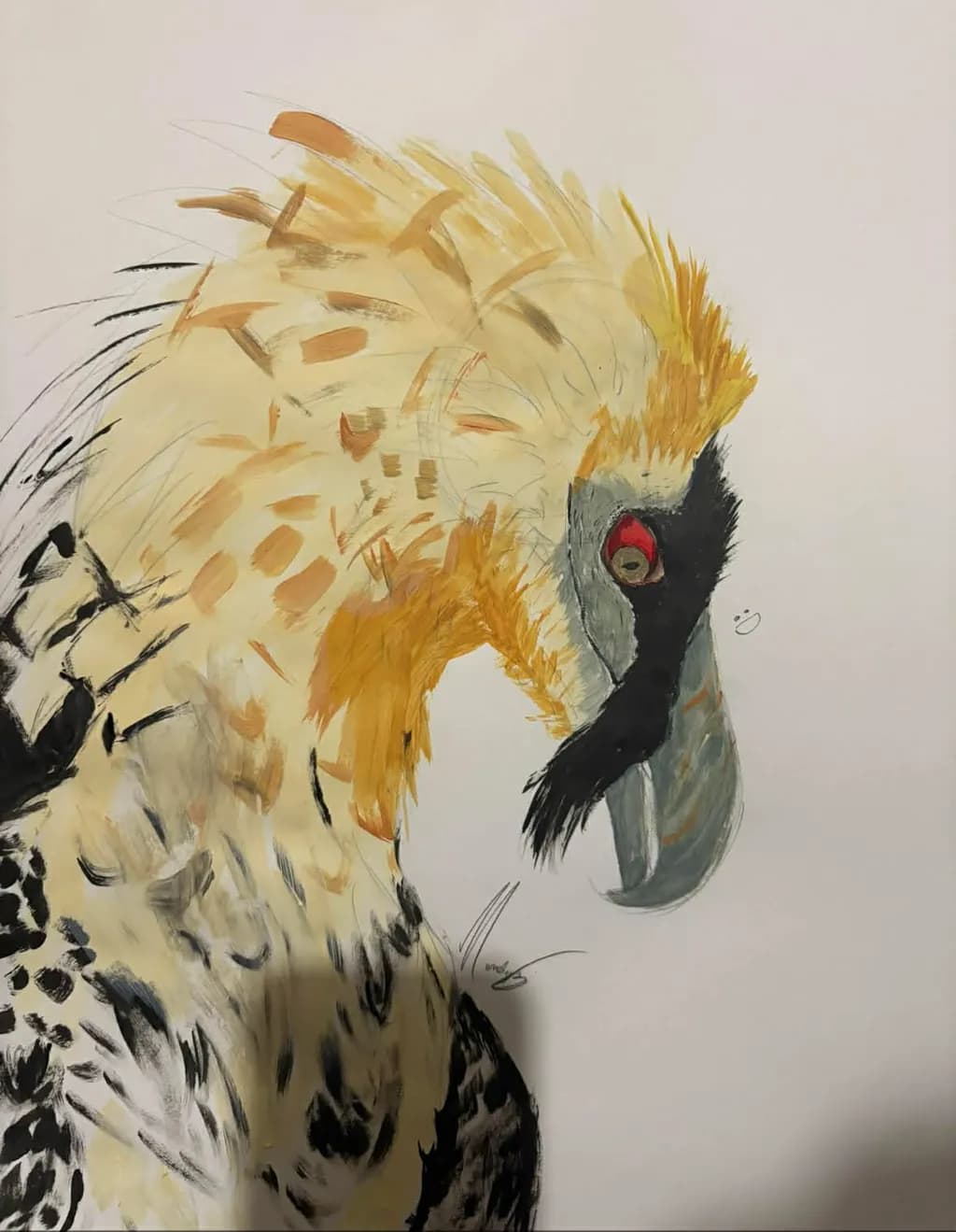 Regal Harpy