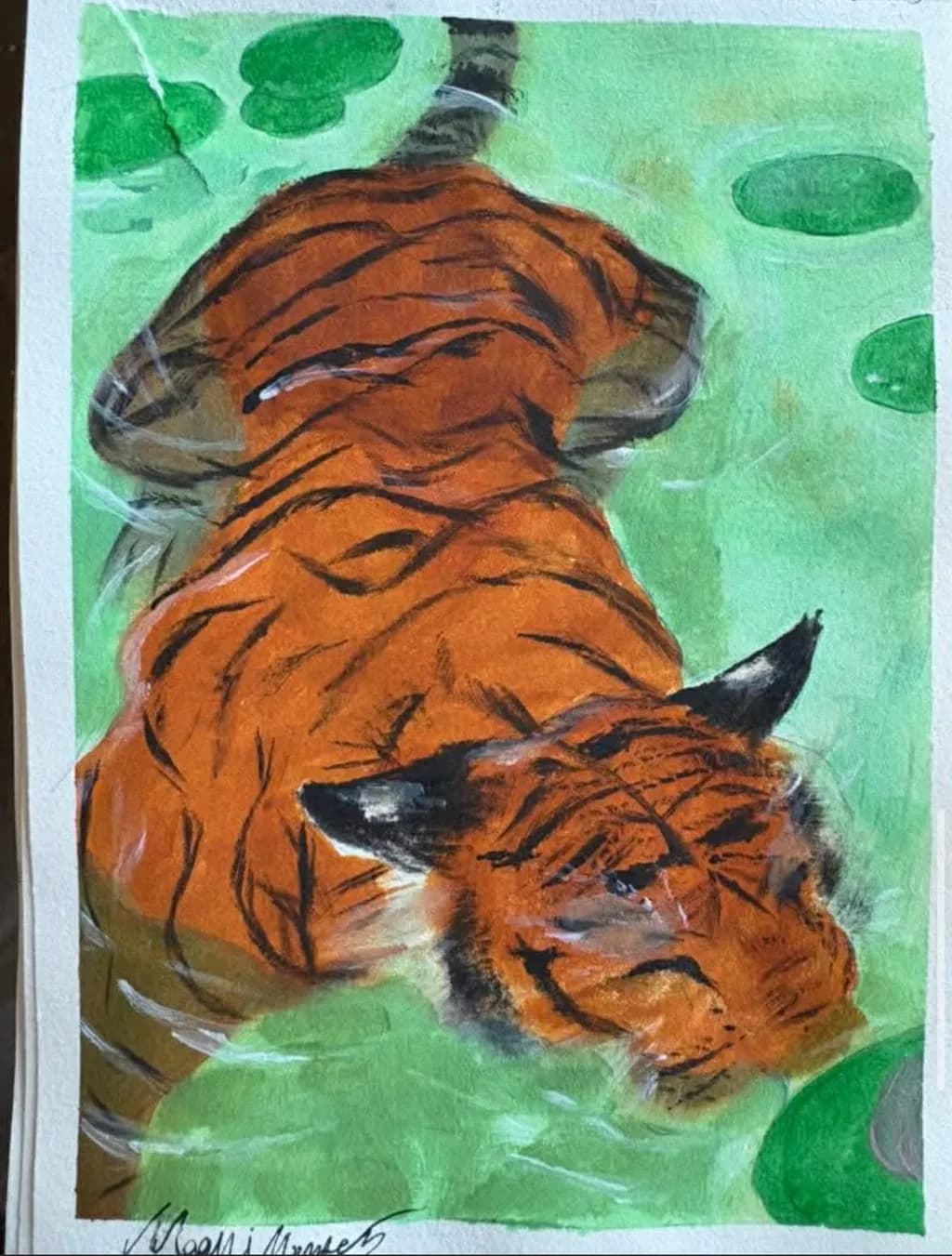 Tiger in Water