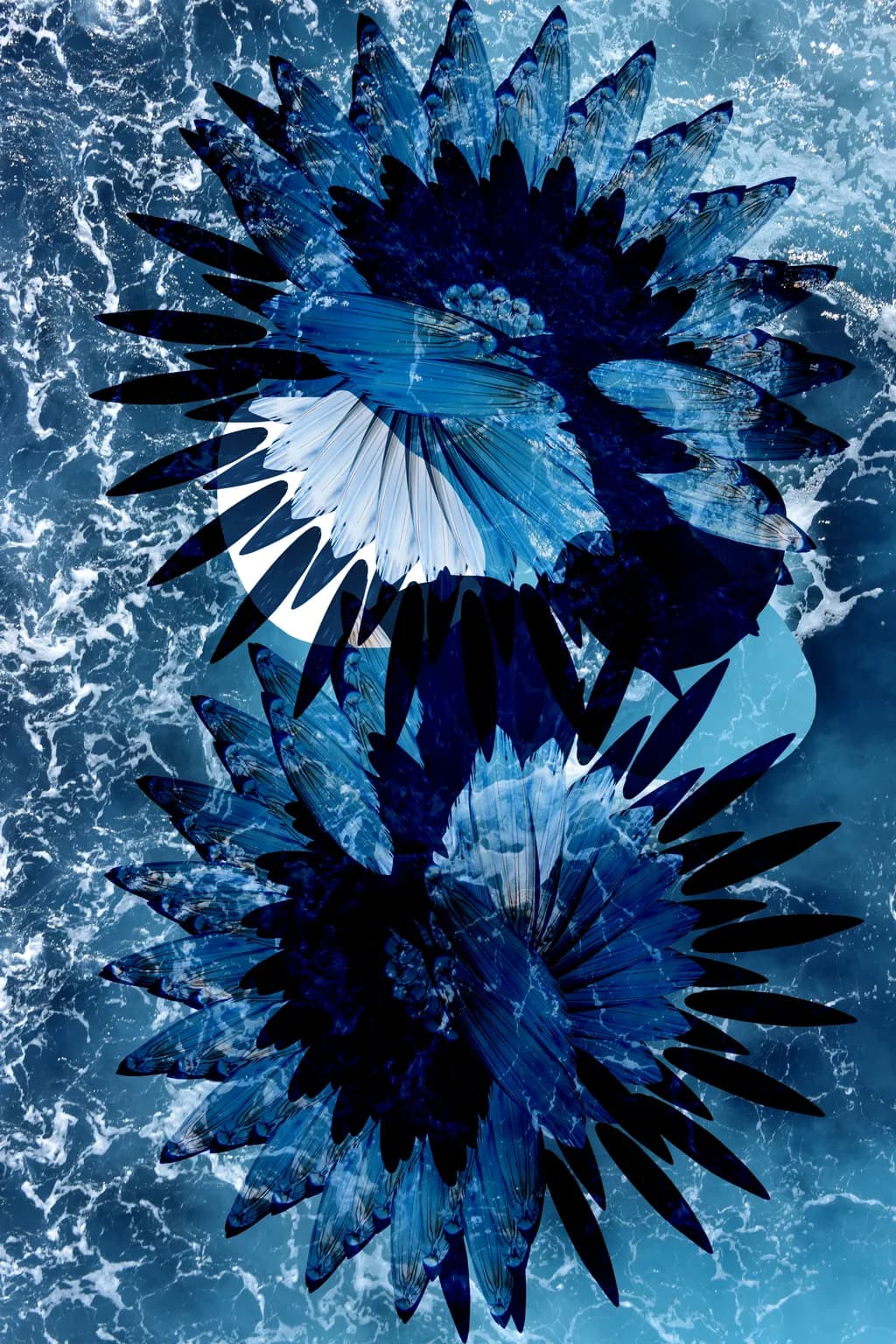 Atlantic Bloom