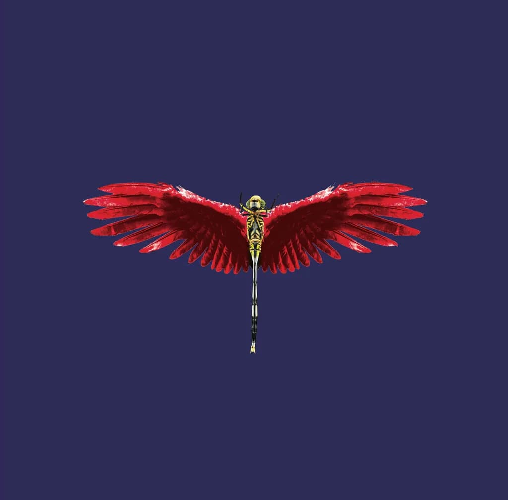 Dragon Fly Wingspan