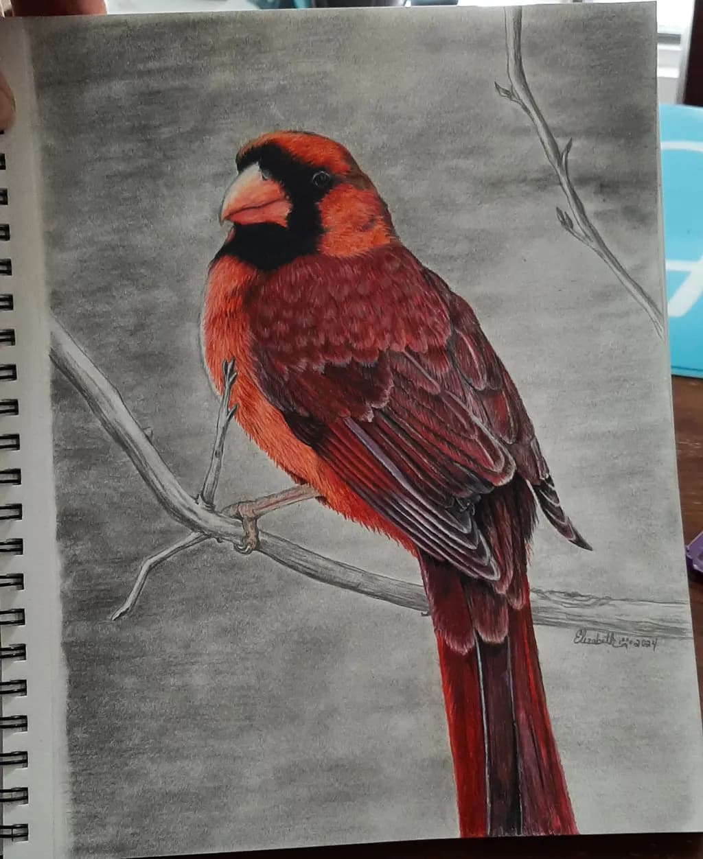 Crimson Cardinal