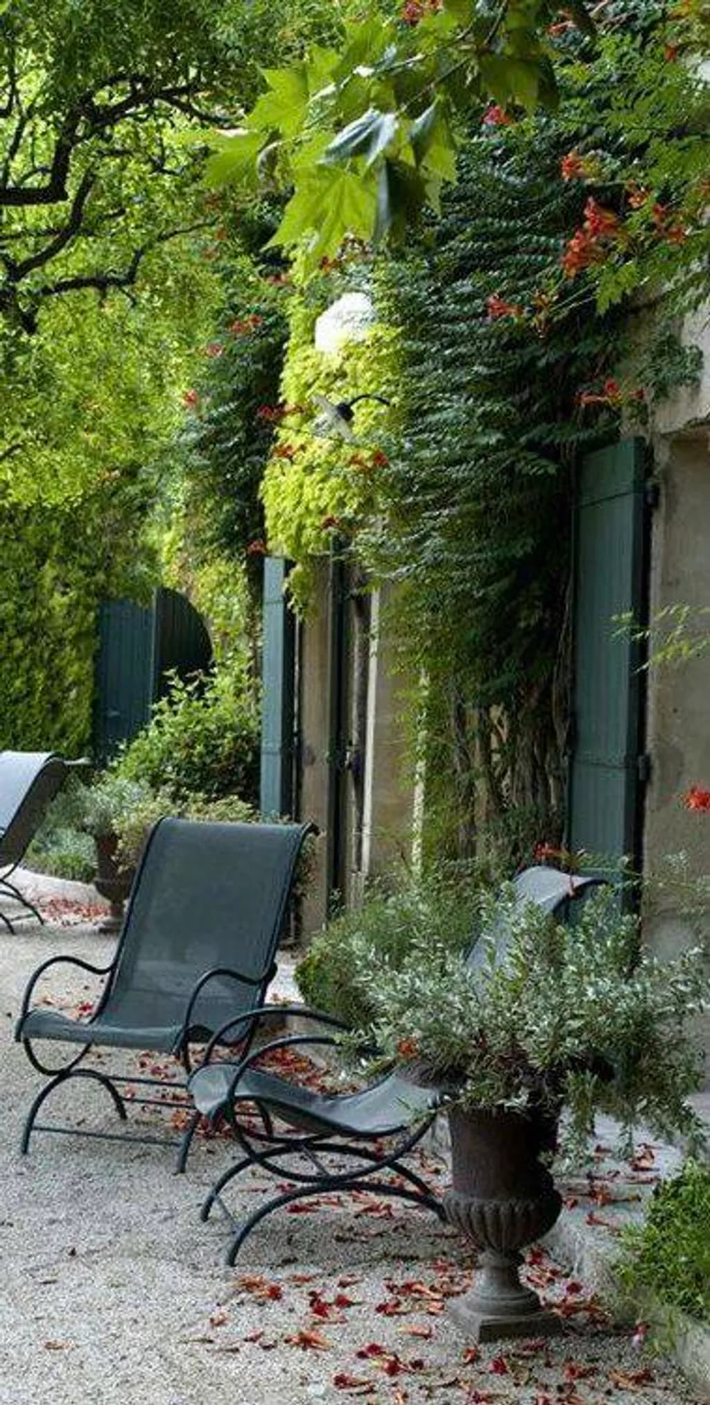 Garden Reverie