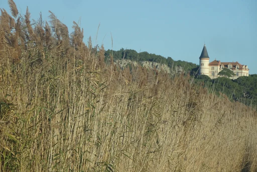 Castle Beyond the Marshlands
