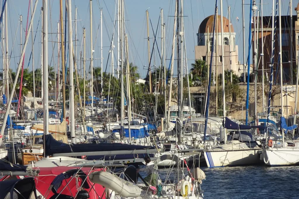 Harbor Tangle