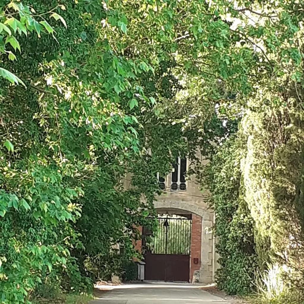 Chemin des Craboules
