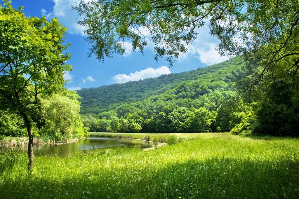 Green Valley Retreat