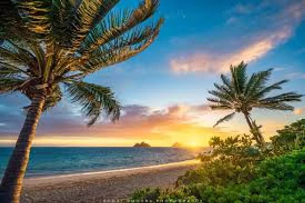 Tropical Sunset