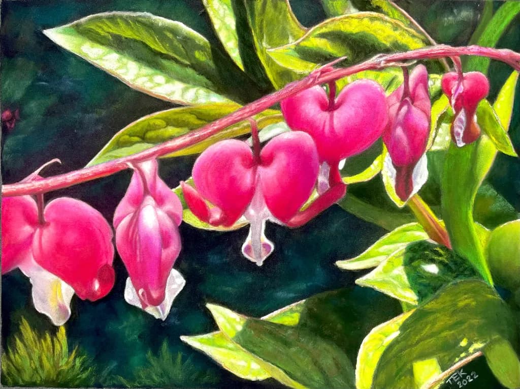 Bleeding Hearts
