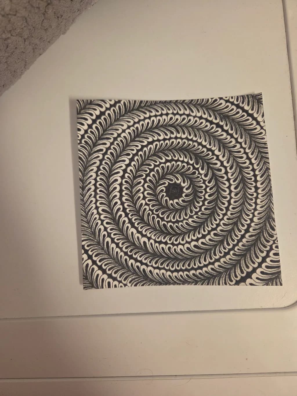 Looped Echoes