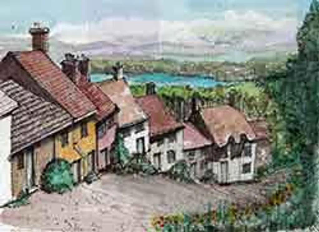 Countryside Lane