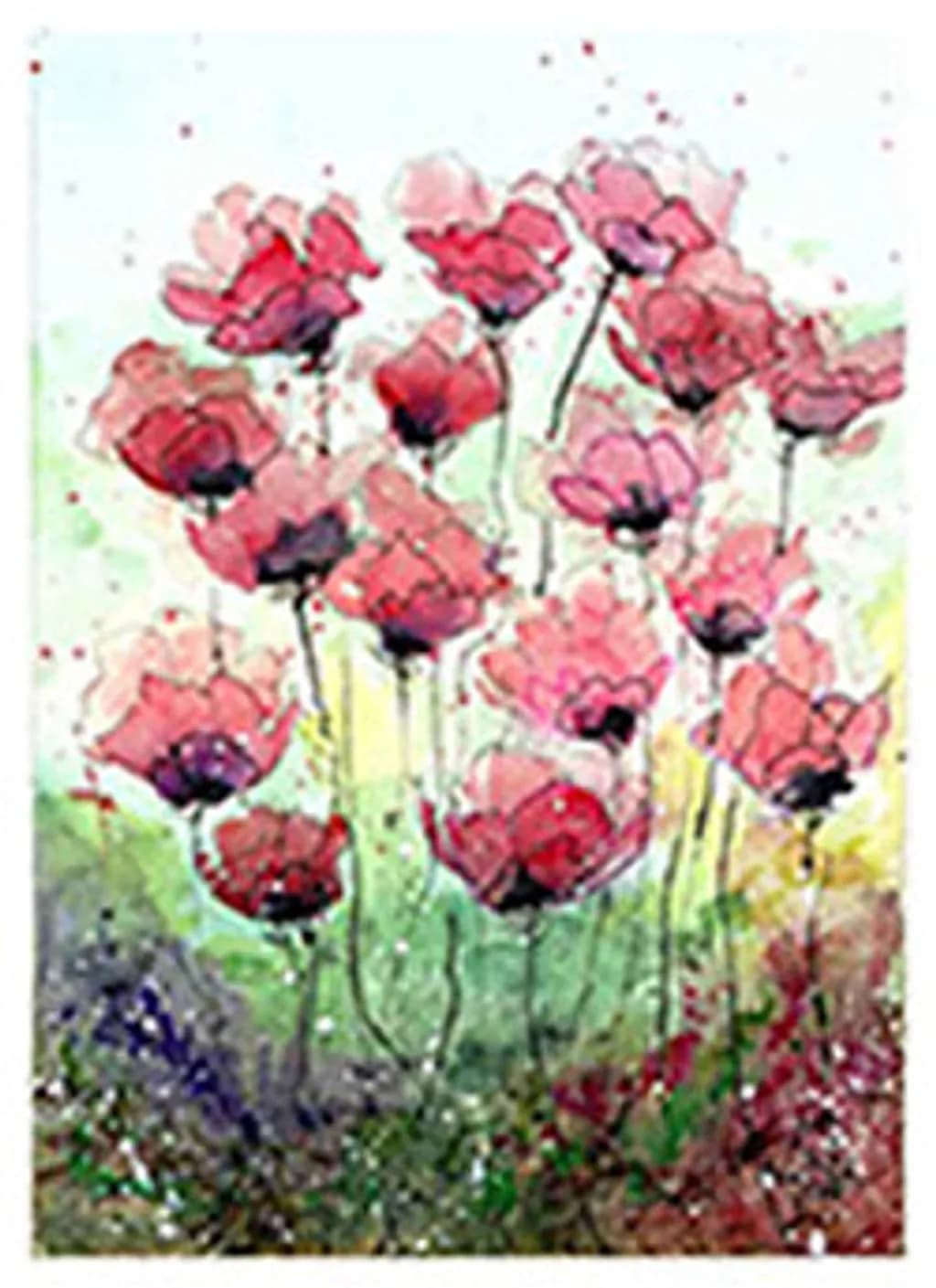 Pink Poppies