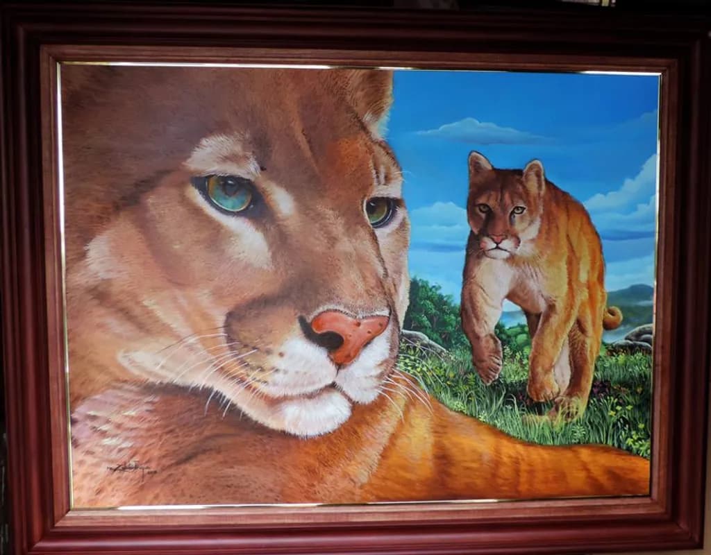 Cougar Gaze