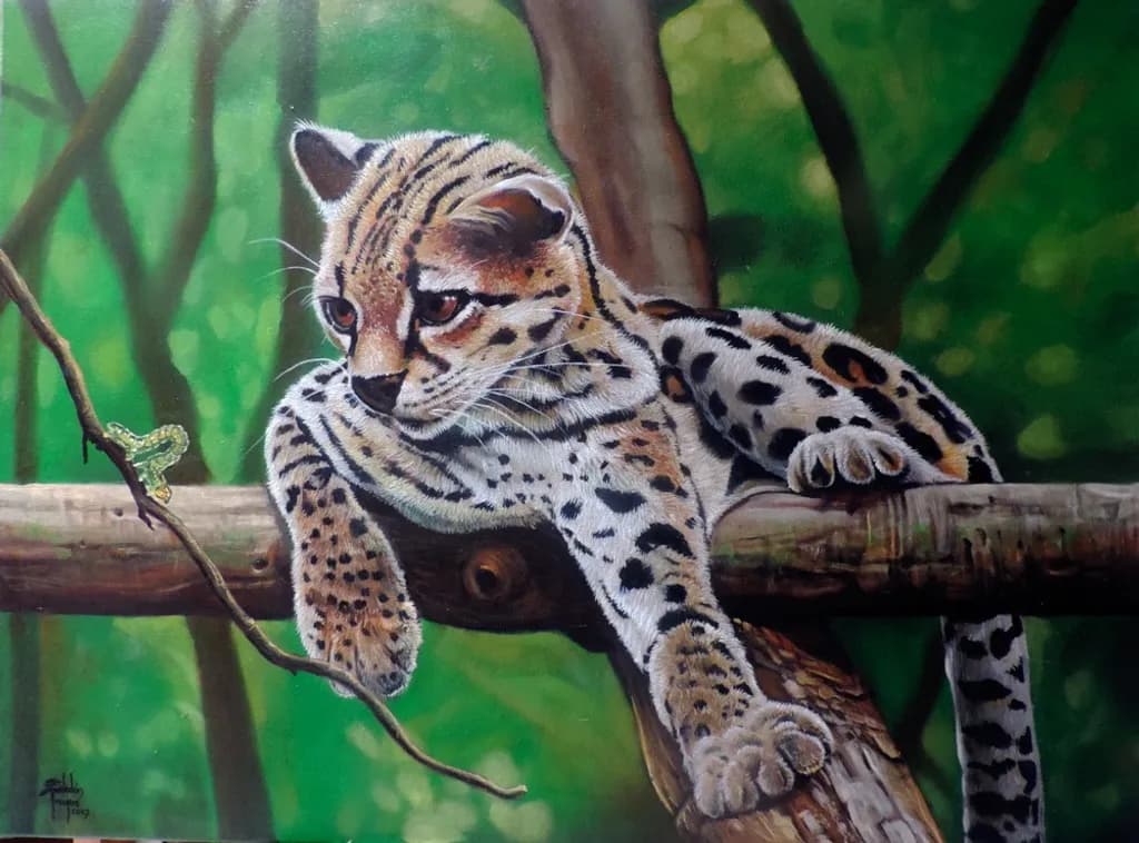 Leopard in Repose
