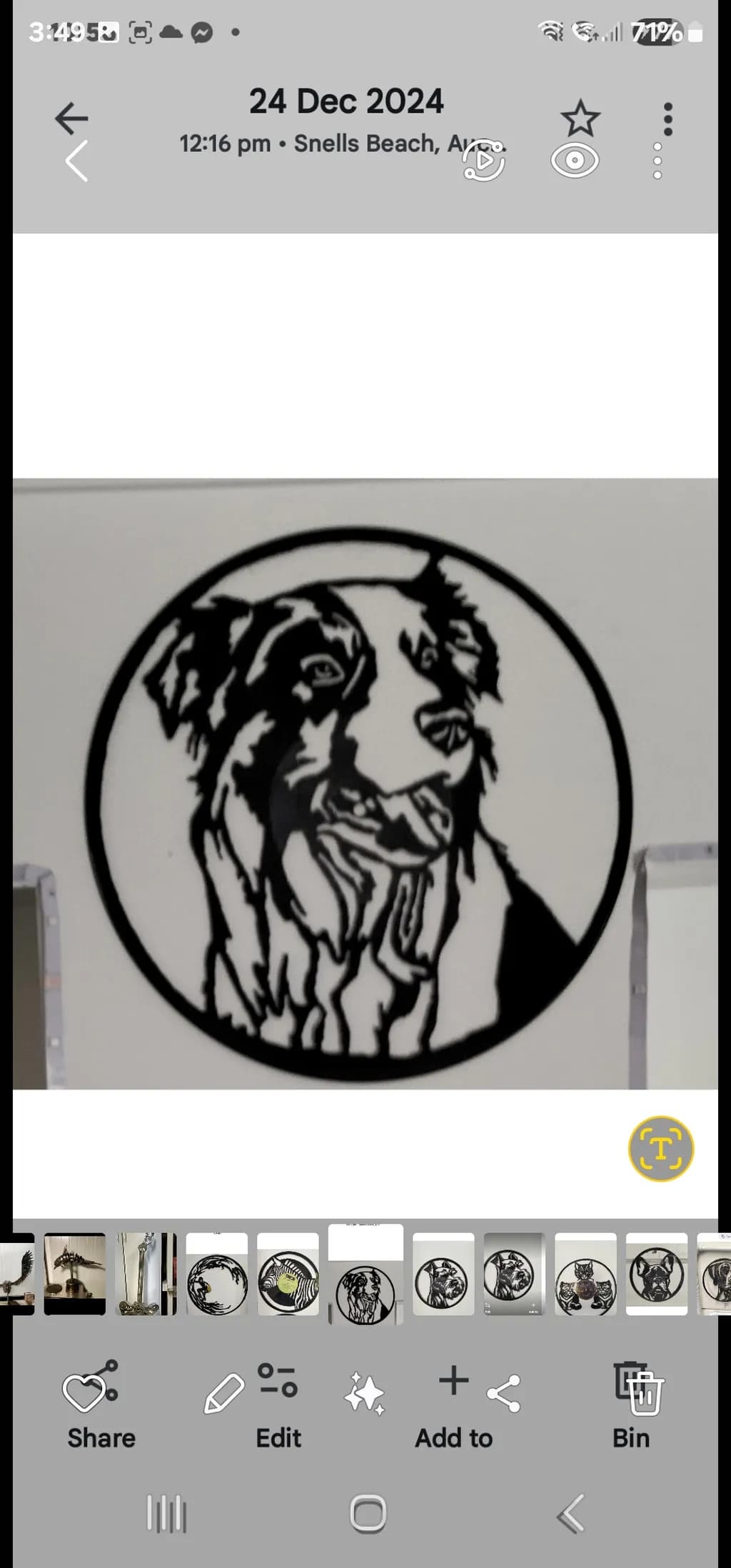 Circle Frame Dog Portrait