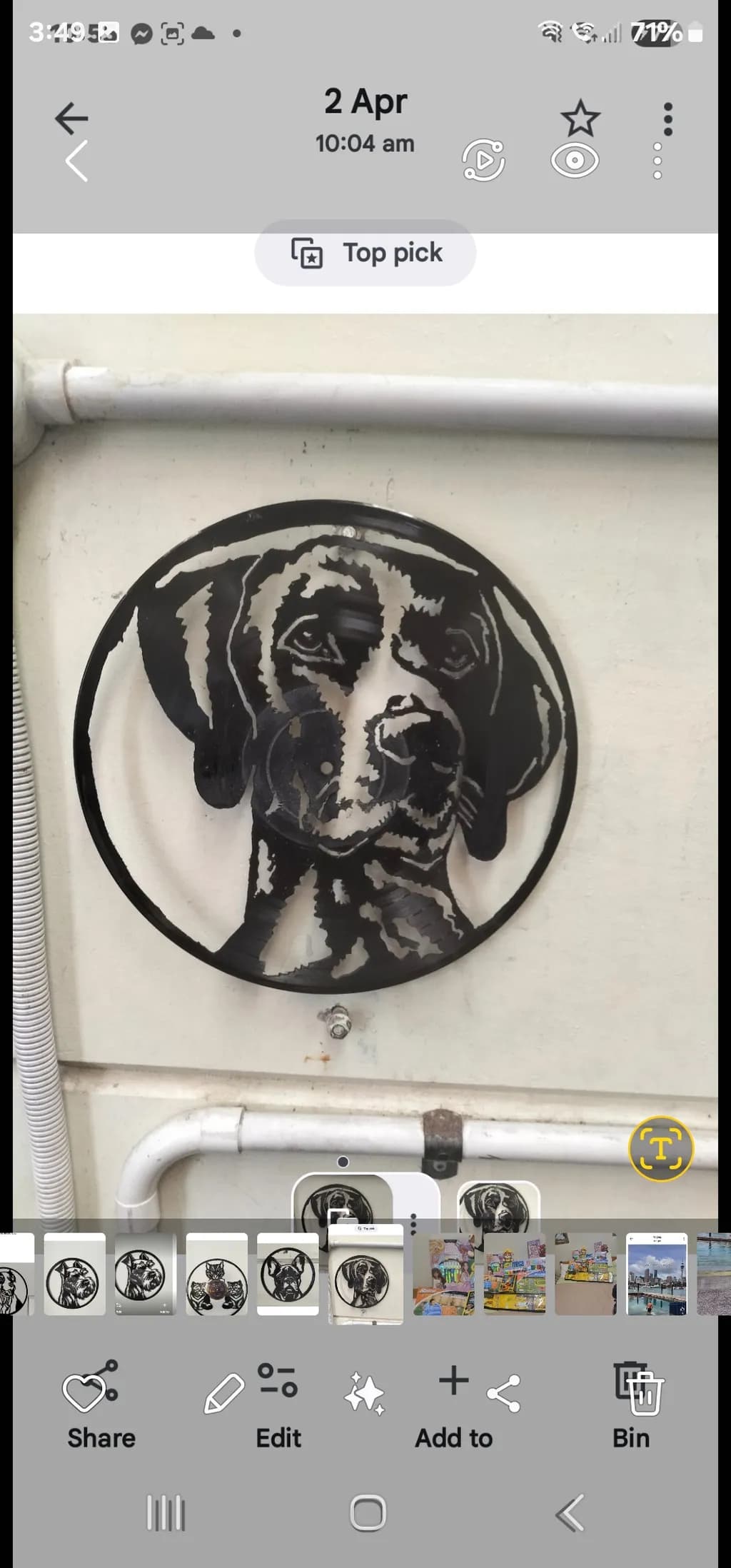 Circular Canine Silhouette
