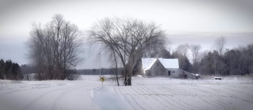Snowbound Homestead