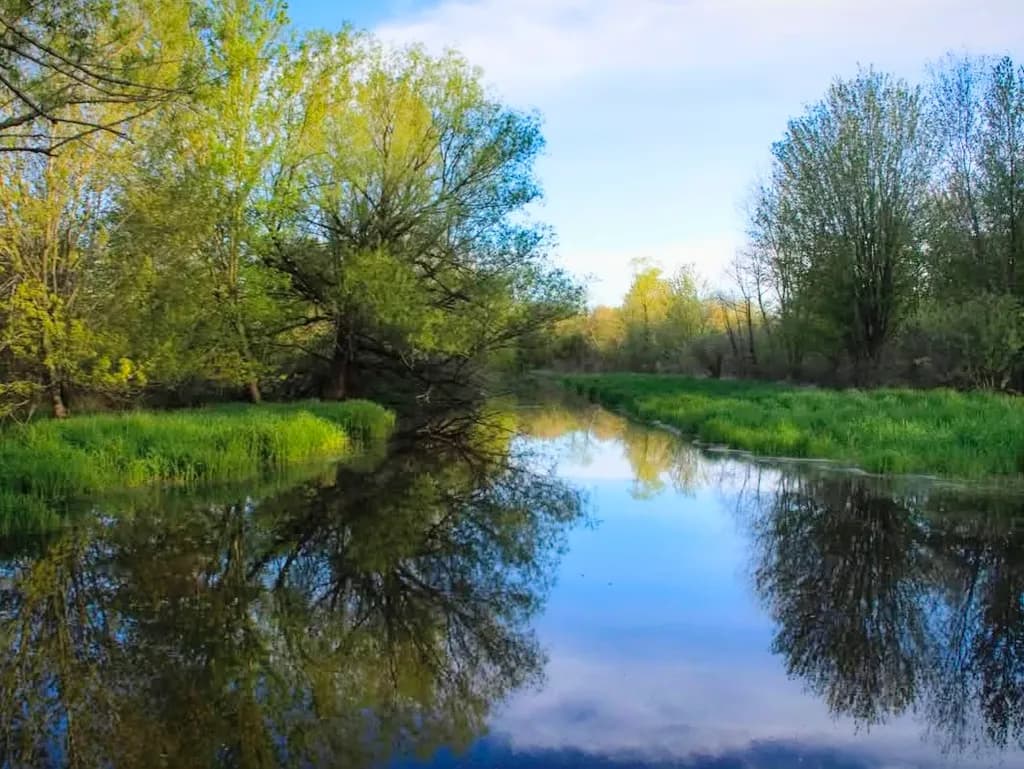 Quiet Reflection