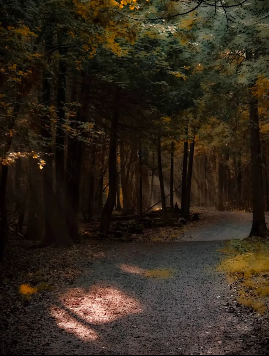 Autumn Pathway