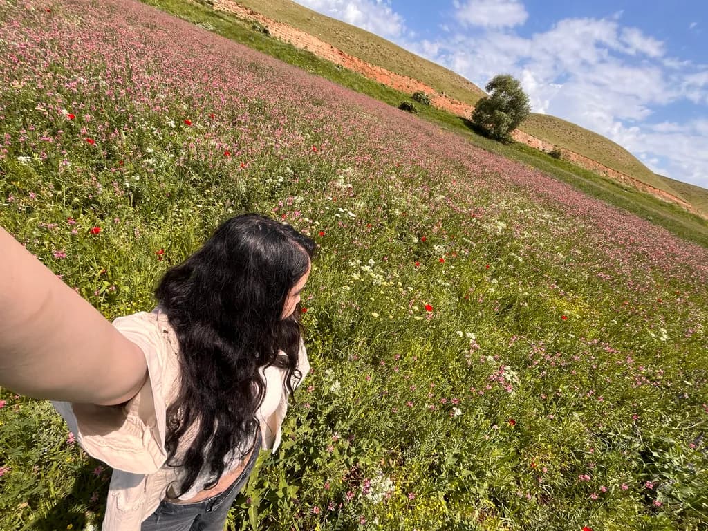 Meadow Perspective