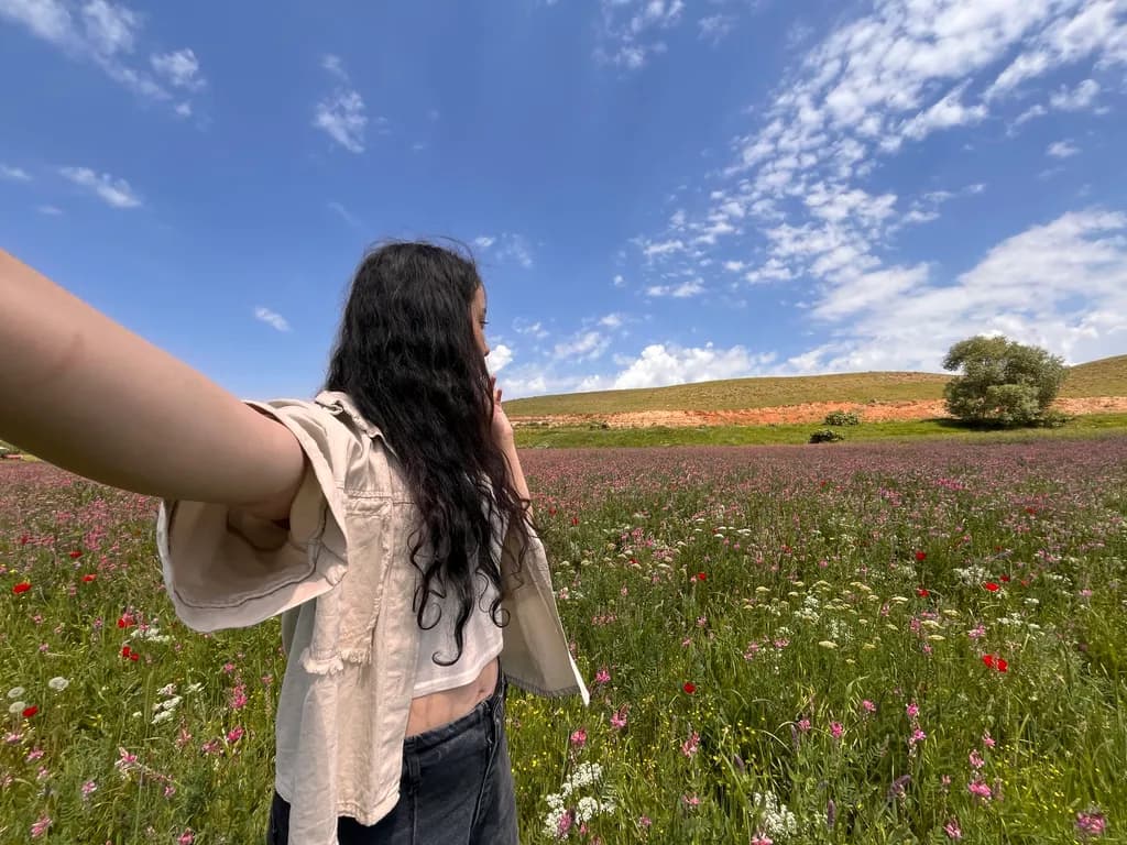 Field Reverie