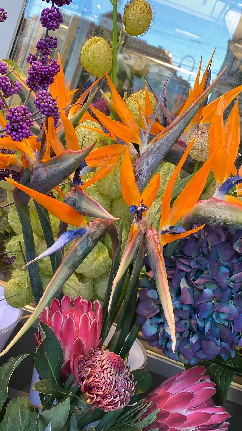 Parkring Blooms