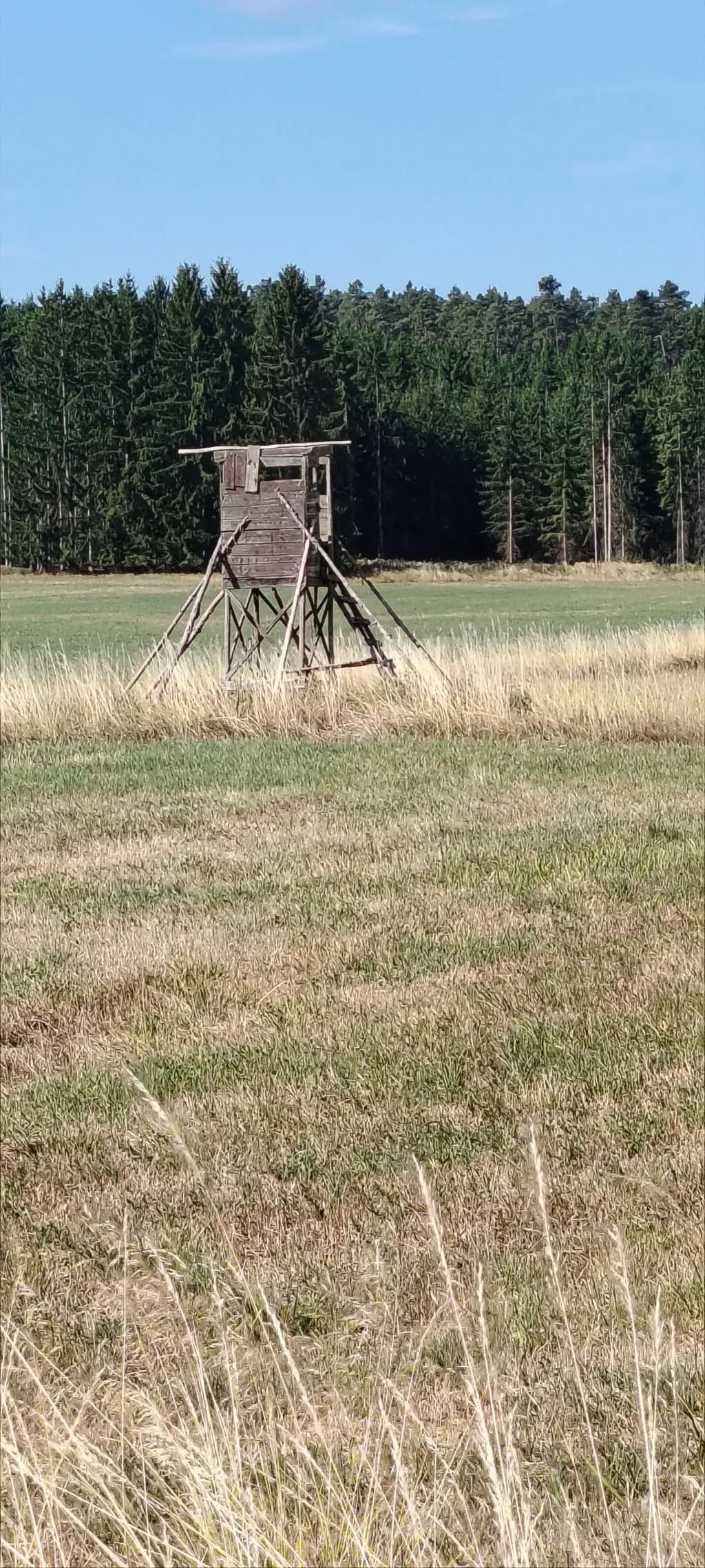 Field Watchtower