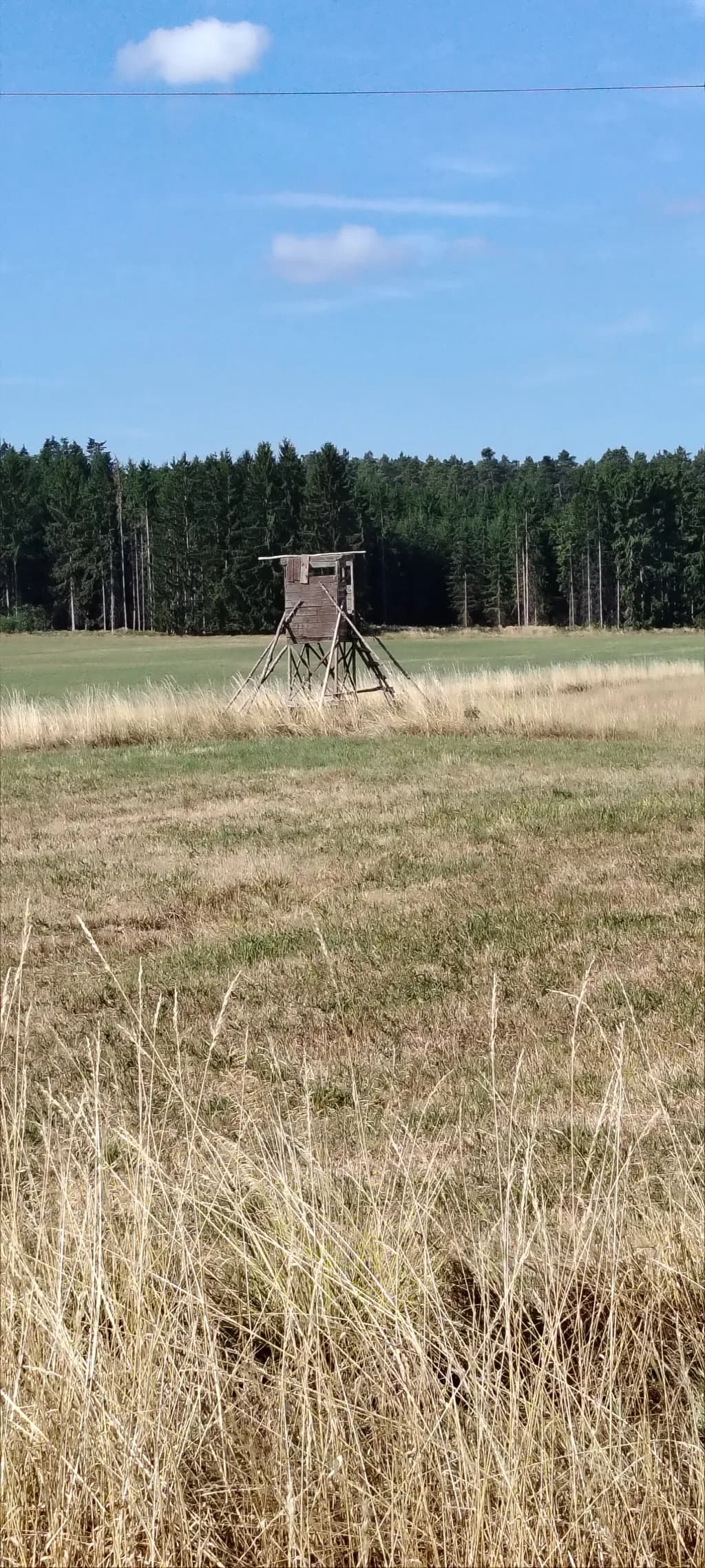 Meadow Hunting Stand