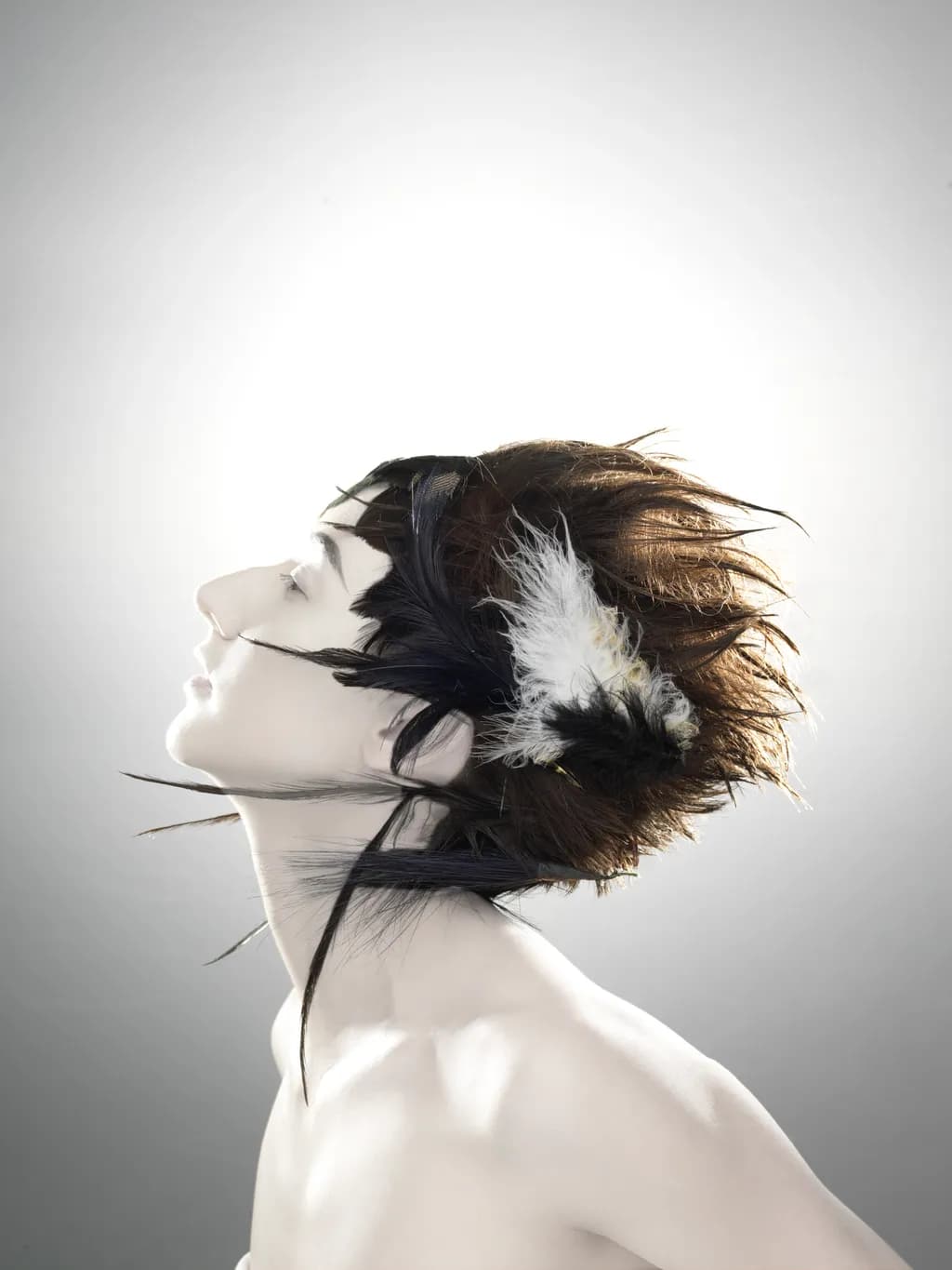 Feathered Profile