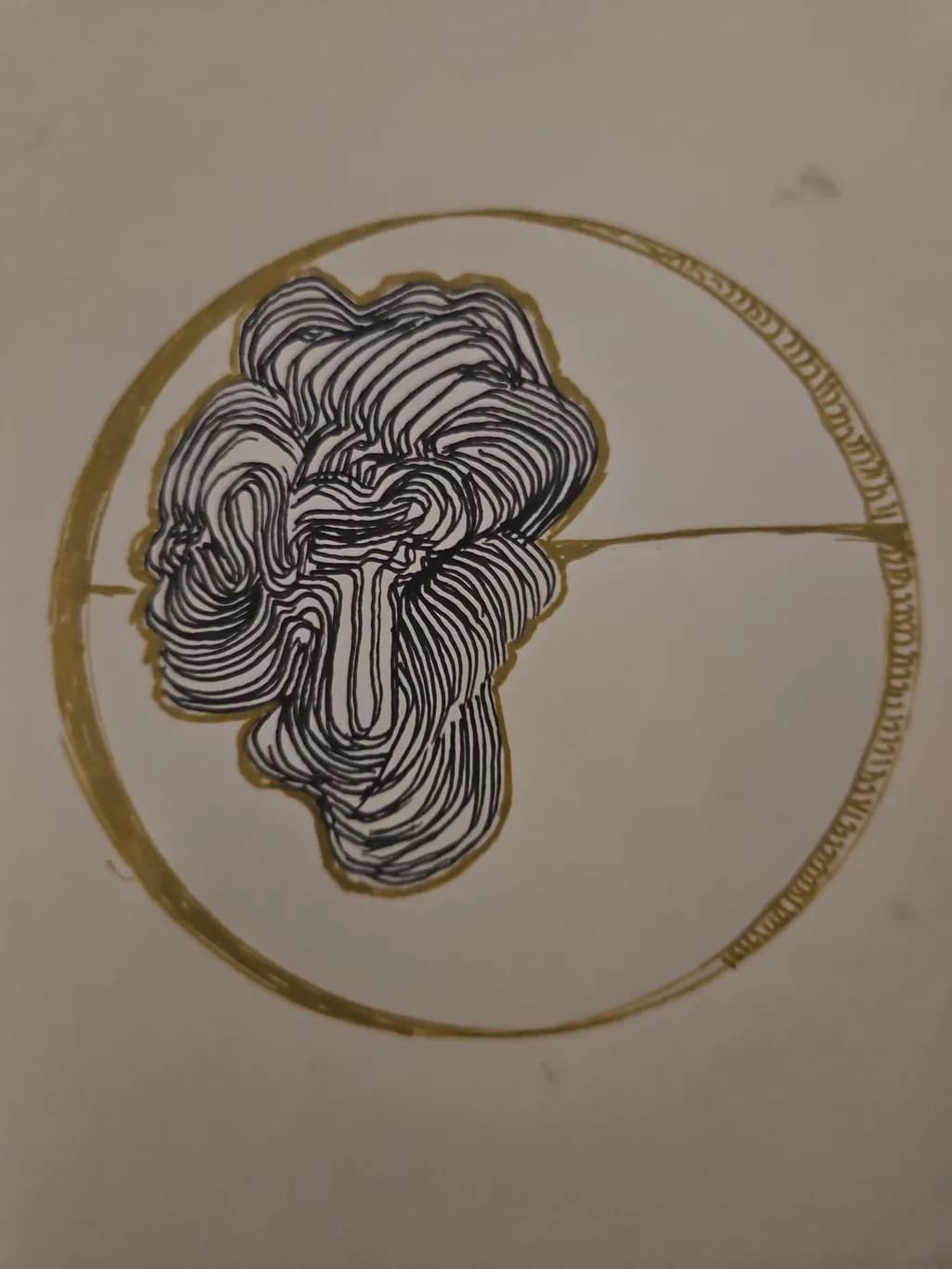Contour Nexus