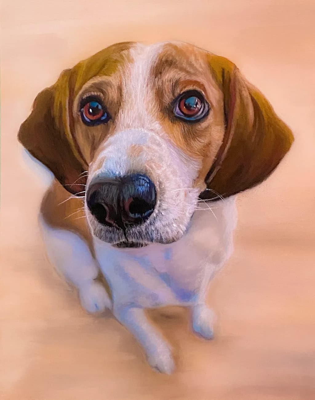 Big-Eyed Beagle