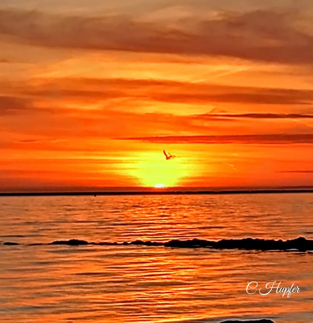 Glowing Horizon