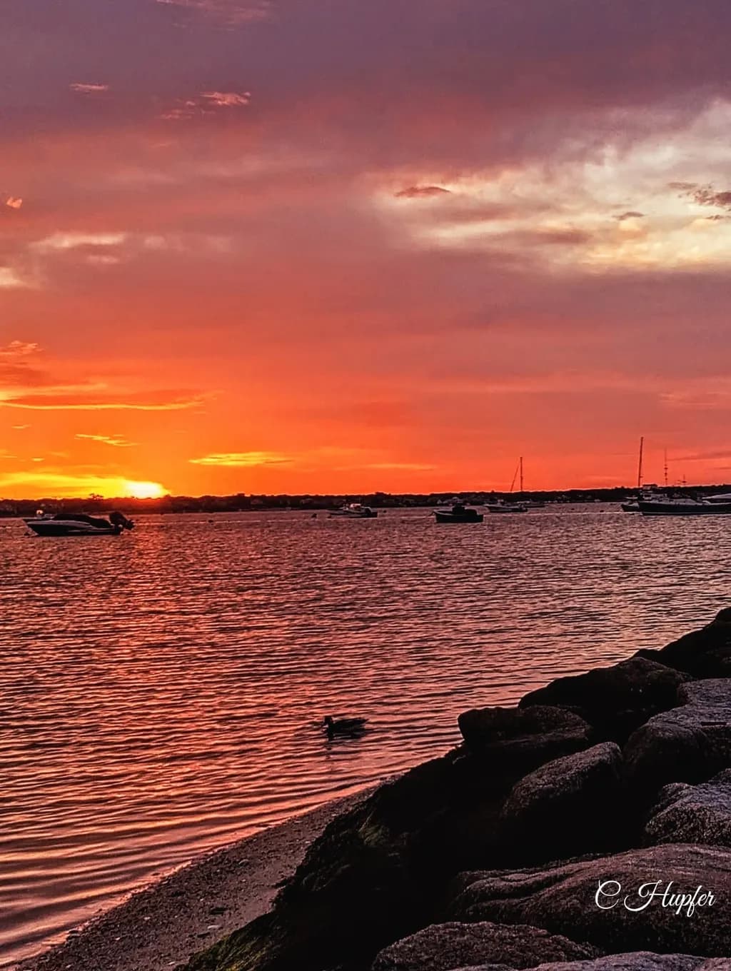 Crimson Harbor