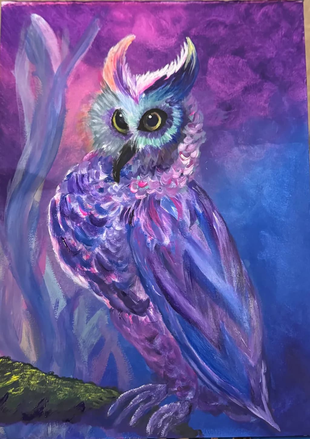 Nocturne Owl