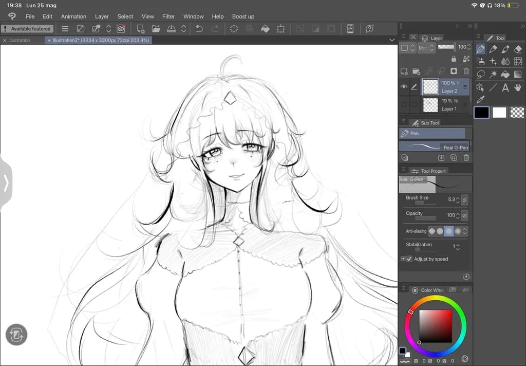 Veiled Grace