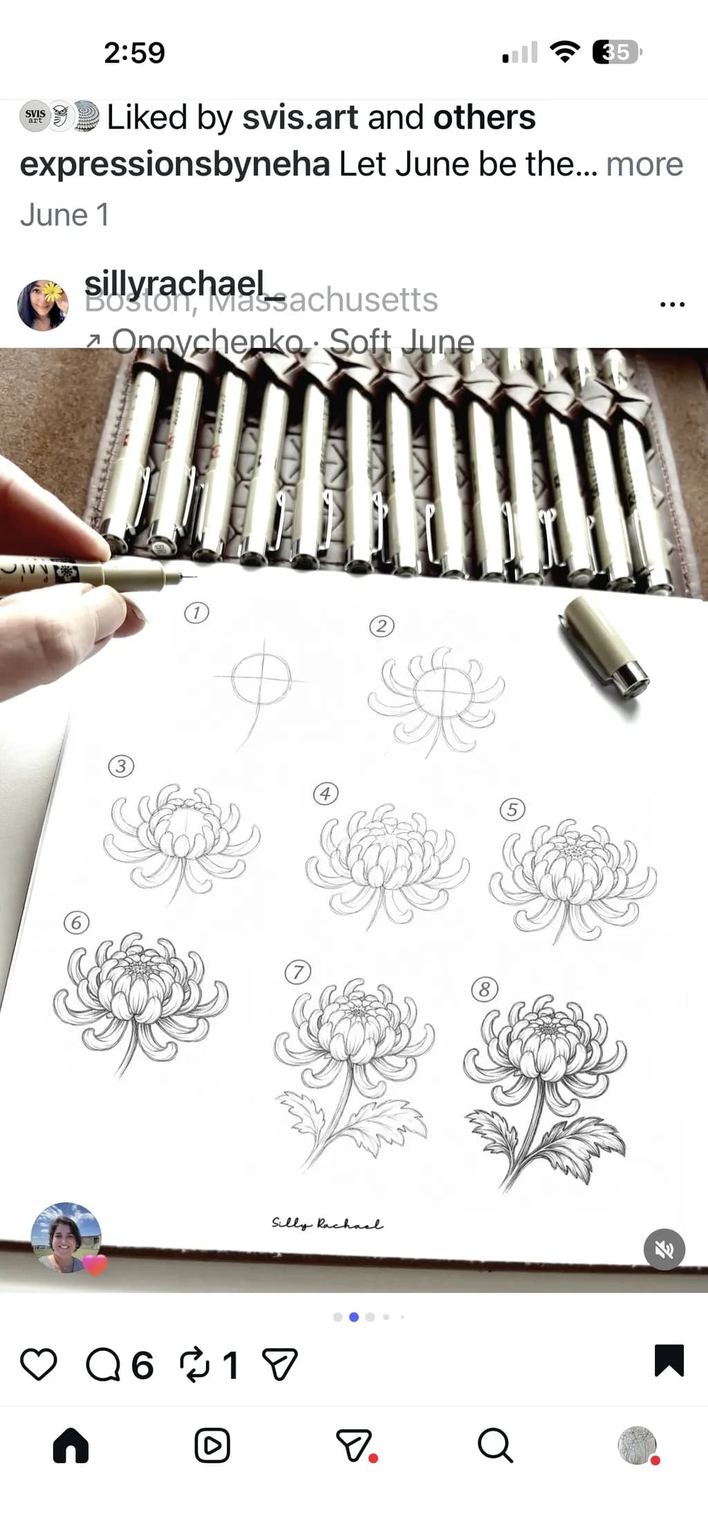 Chrysanthemum Steps