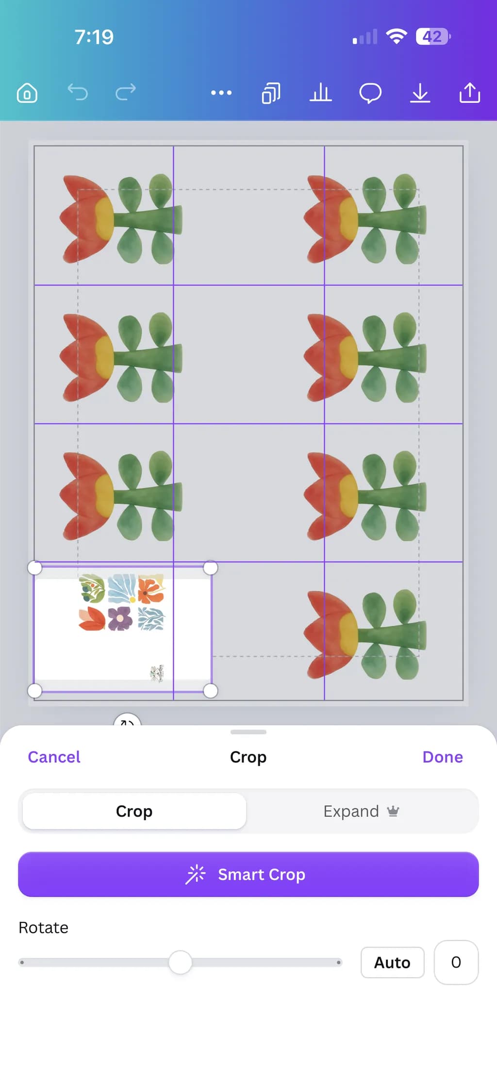 Tulip Grid