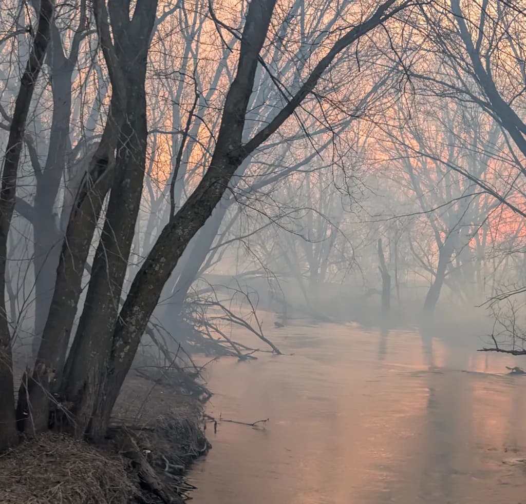 Misty Evening Flow