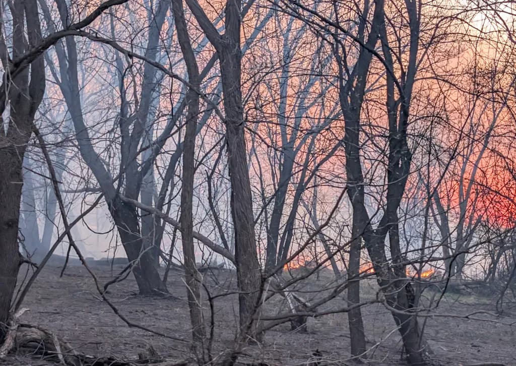 Embers at Dusk
