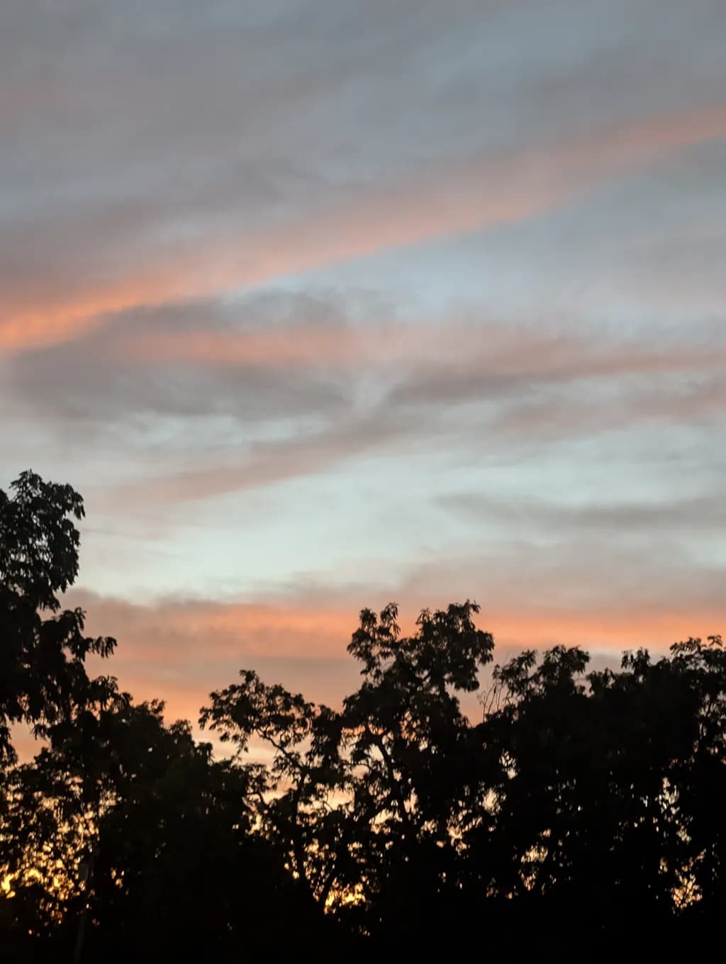 Evening Glow