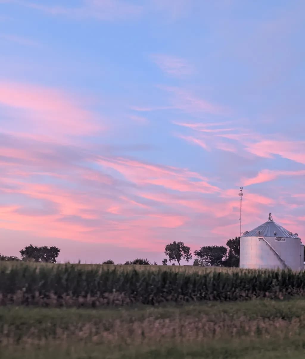 Dusky Farm Silos
