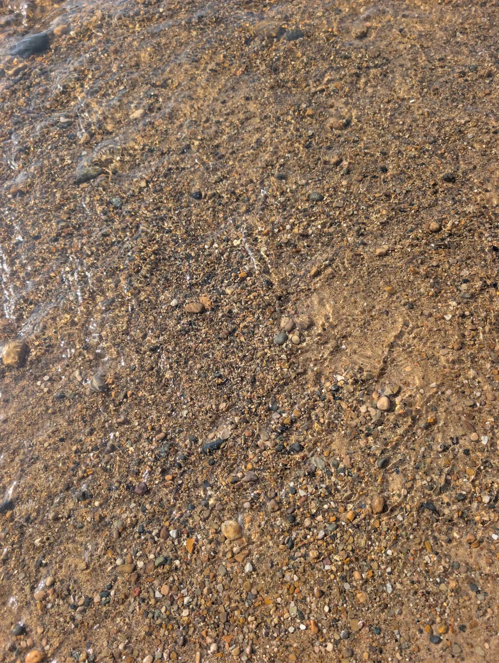 Rippled Shoreline
