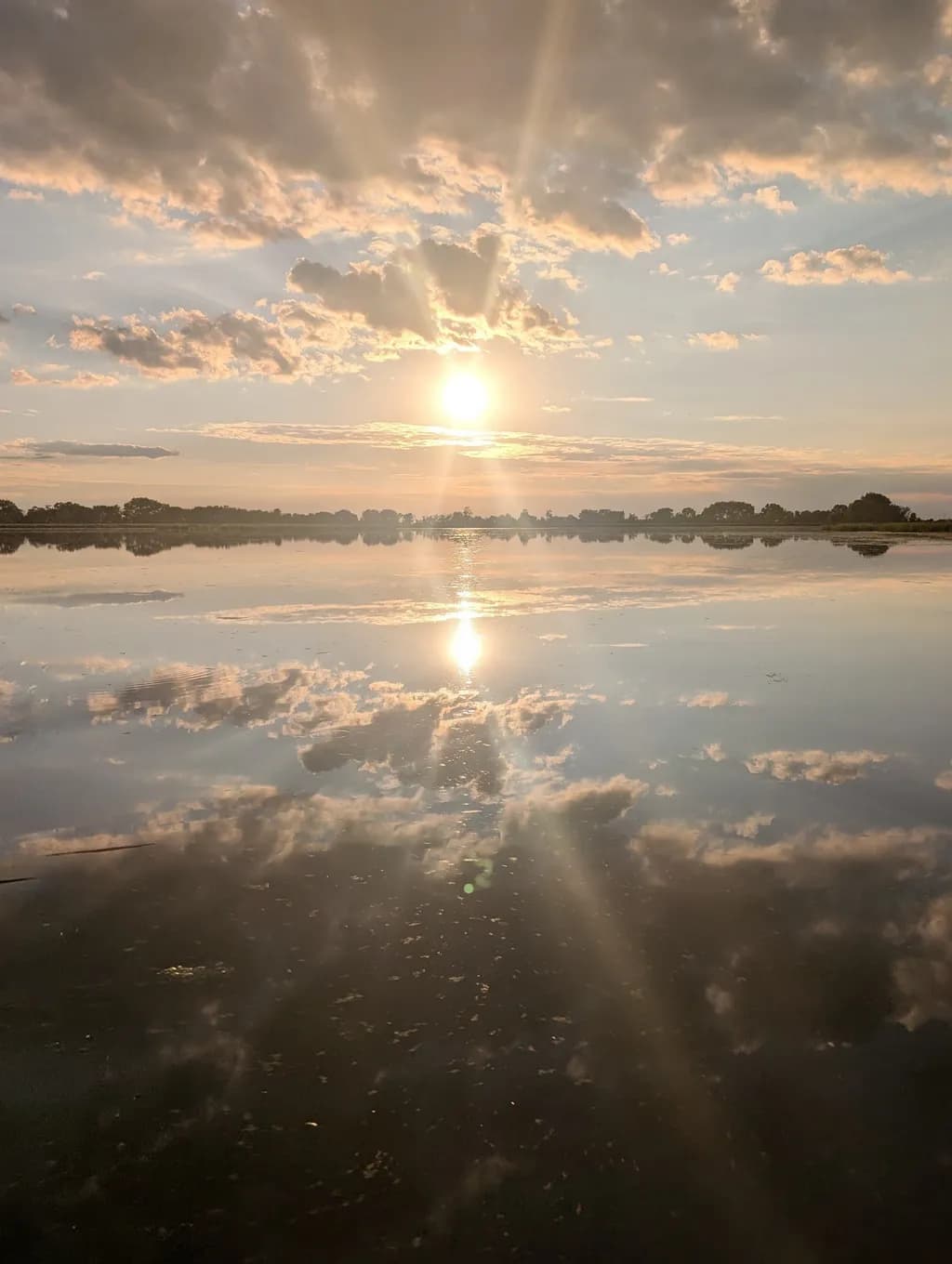 Golden Horizon Reflection