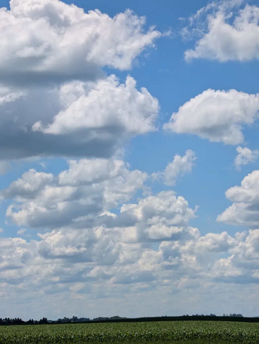 Cloudscape Calm