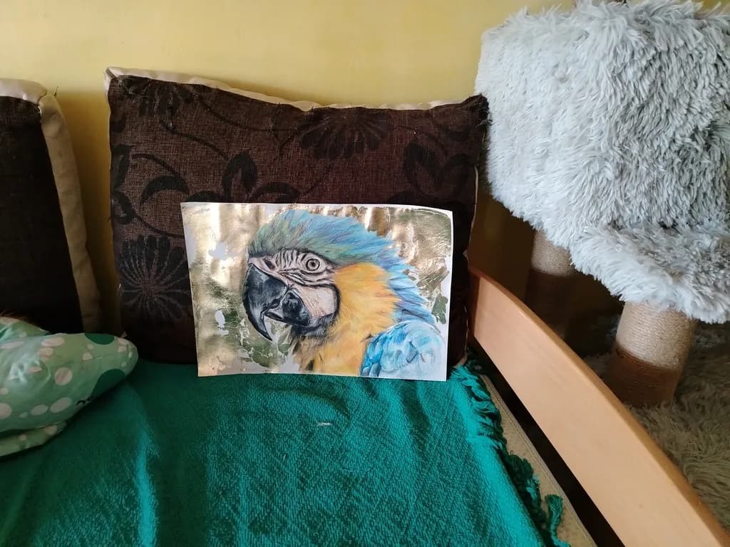 Golden Macaw Portrait